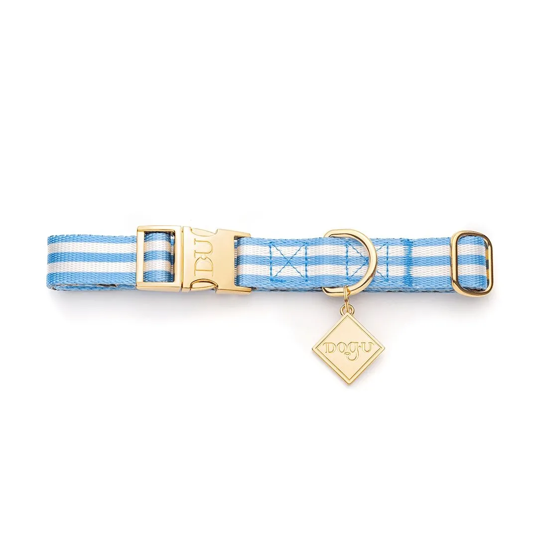 Dog Collar | Samba