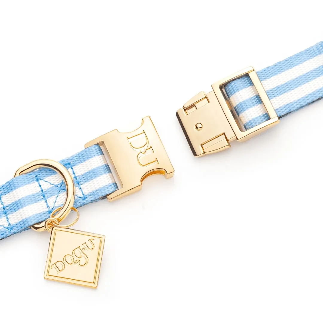 Dog Collar | Samba