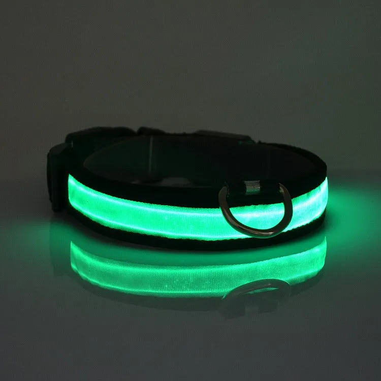 Furfect LED Light Up Dog Collar