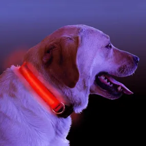 Furfect LED Light Up Dog Collar