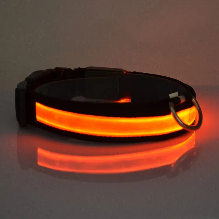 Furfect LED Light Up Dog Collar