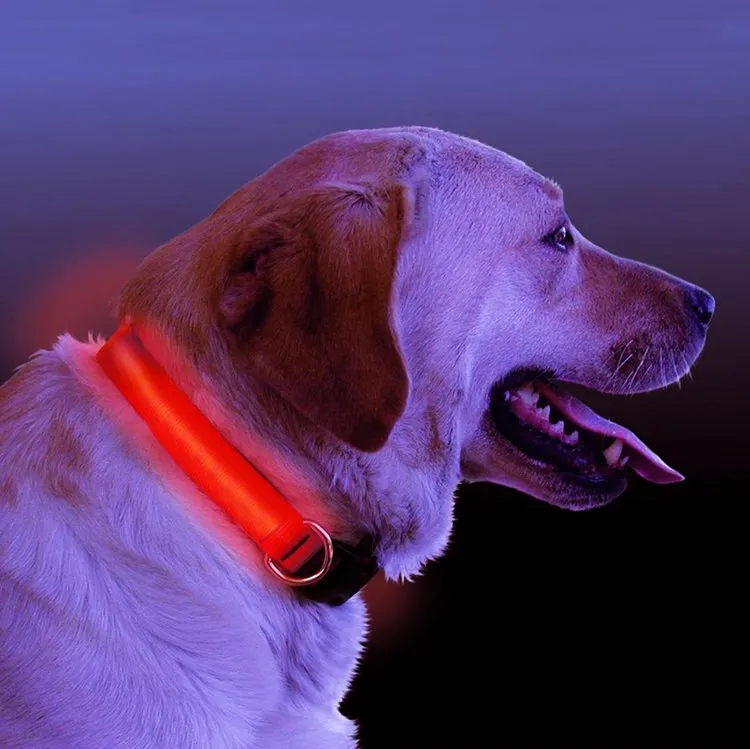 Furfect LED Light Up Dog Collar