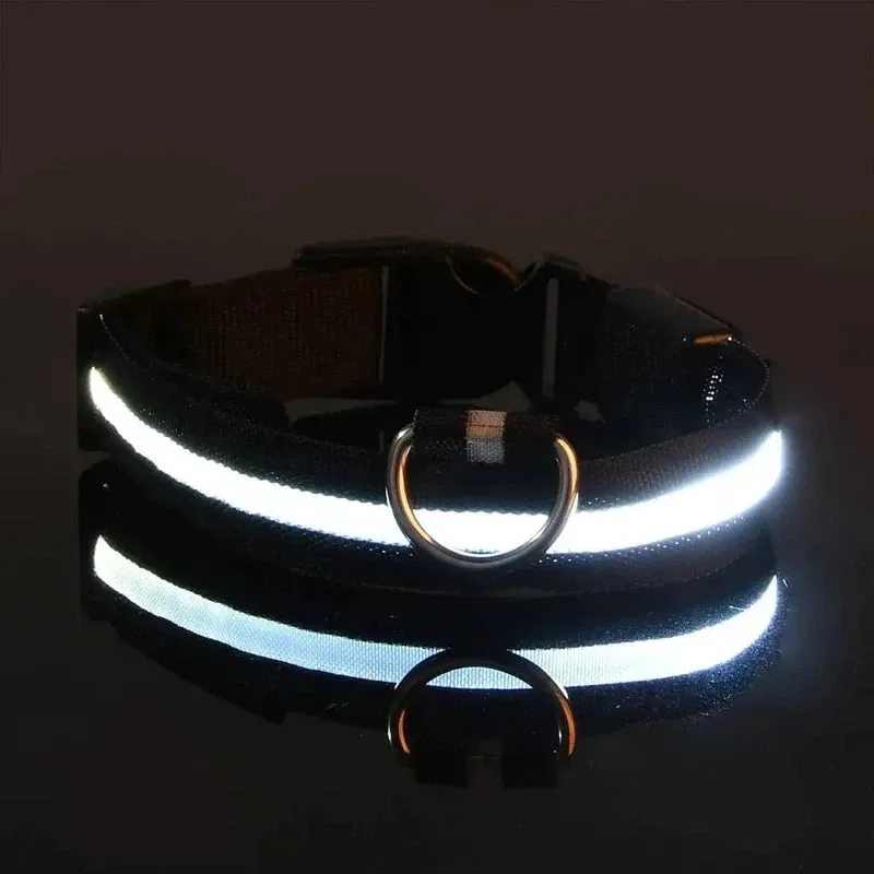 LED Glow Dog Safety Collar