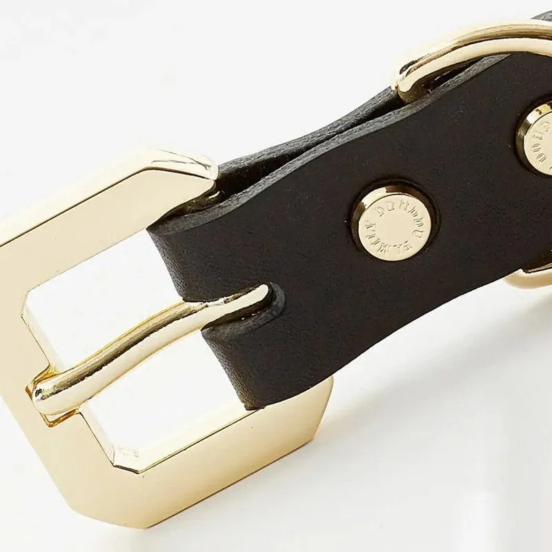 Luxurious Golden Spike Black Collar for Strong Dogs