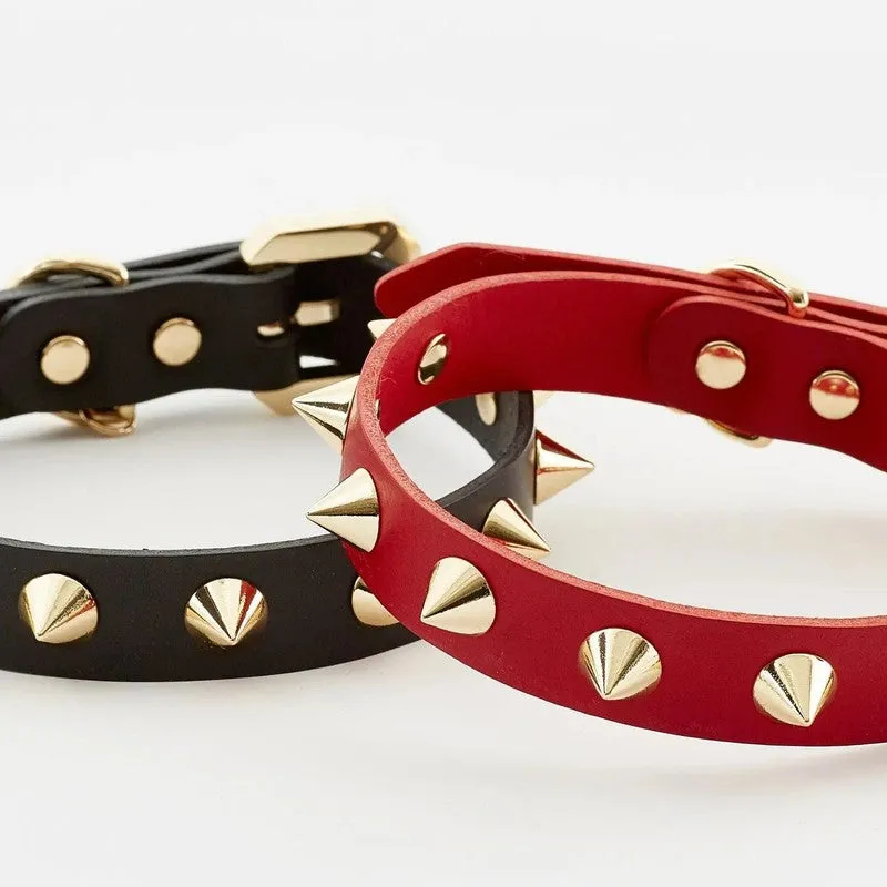 Luxurious Golden Spike Black Collar for Strong Dogs