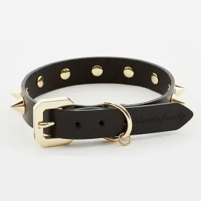 Luxurious Golden Spike Black Collar for Strong Dogs
