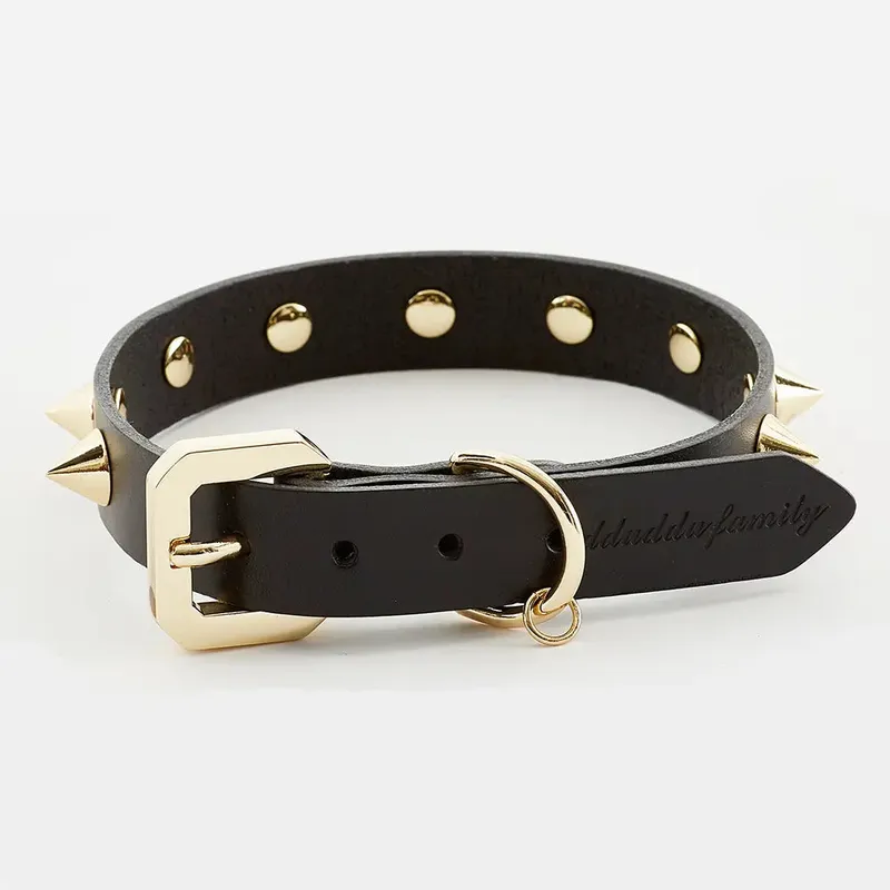 Luxurious Golden Spike Black Collar for Strong Dogs