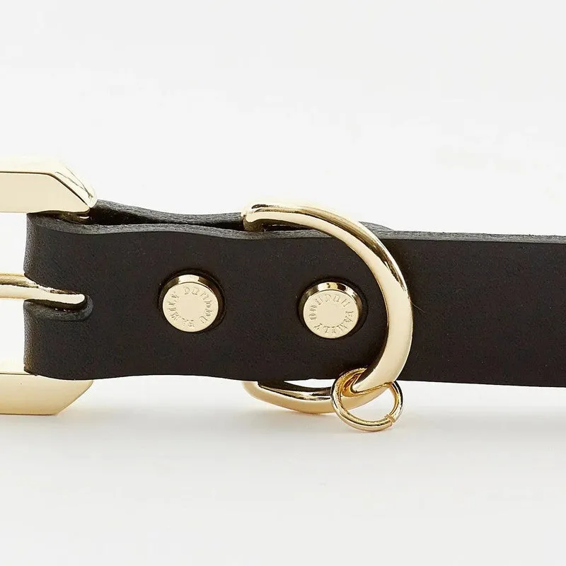 Luxurious Golden Spike Black Collar for Strong Dogs