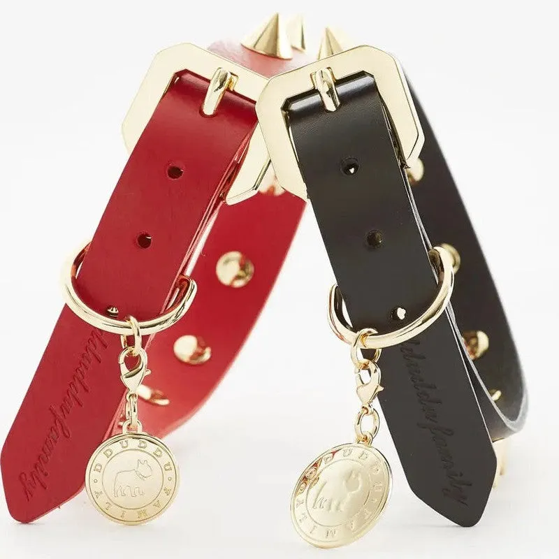 Luxurious Golden Spike Black Collar for Strong Dogs
